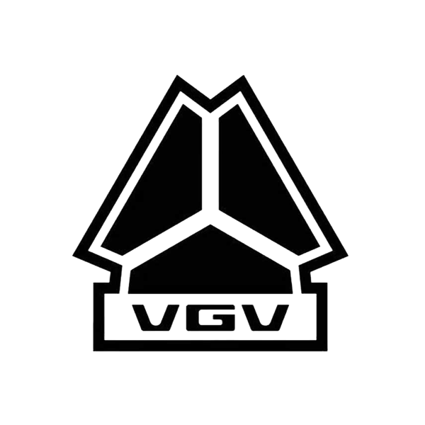 中国重汽VGV
